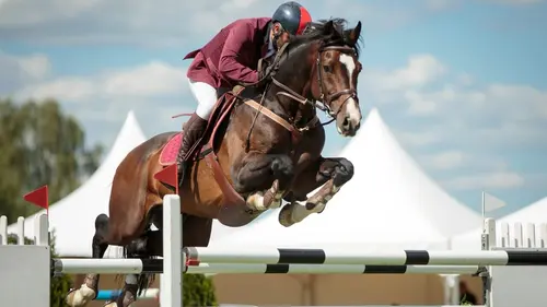 Equitation CHI de Genève