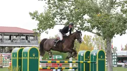 Equitation CHIO d'Aix-la-Chapelle
