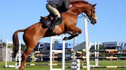 Equitation CHIO d'Aix-la-Chapelle