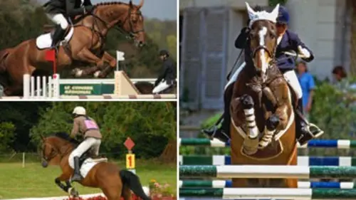 Equitation CHIO de Genève 2014