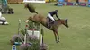 Equitation : Coupe des nations