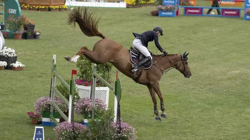 Equitation : Coupe des nations