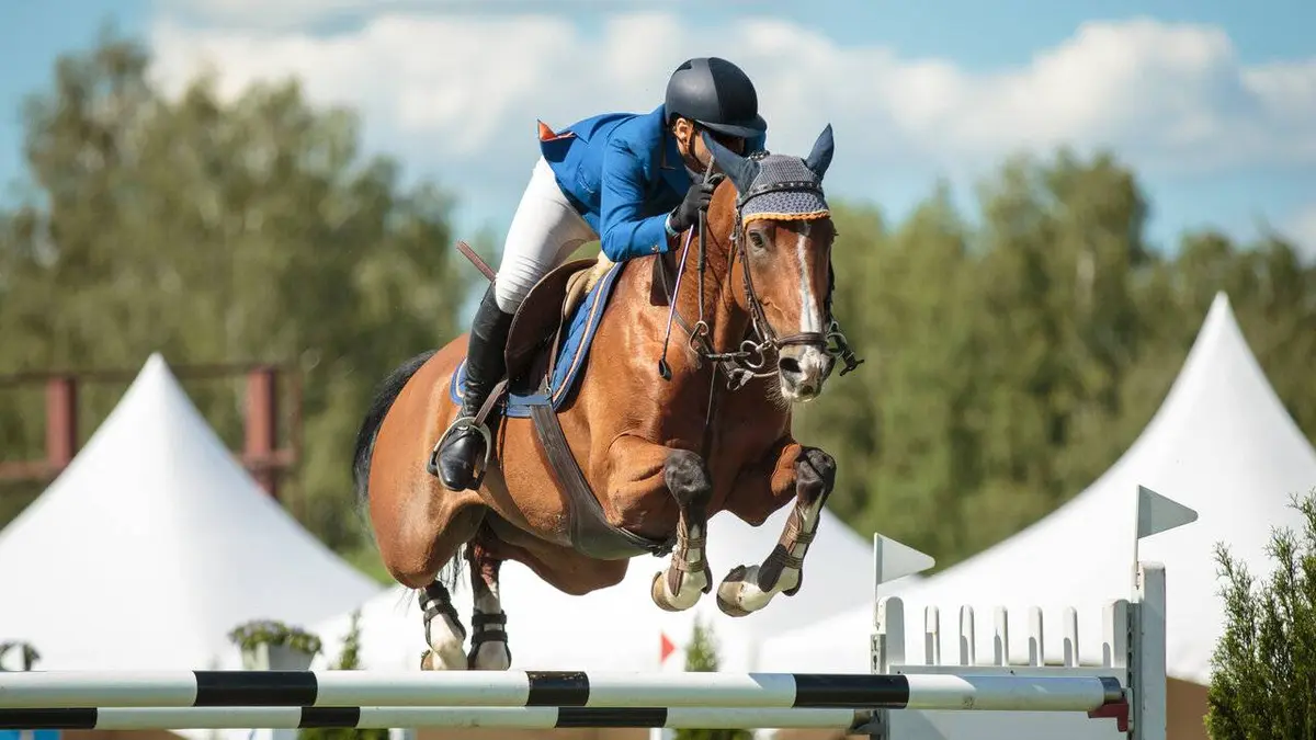 Equitation Coupe des nations de saut d'obstacles 2022