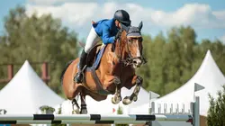 Equitation : Coupe des nations de saut d'obstacles