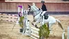 Equitation Coupe du monde de saut d'obstacles