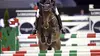 Equitation Coupe du monde de saut d'obstacles 2014/2015