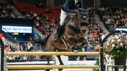 Equitation Coupe du monde de saut d'obstacles
