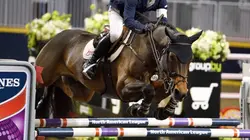 Equitation Coupe du monde de saut d'obstacles 2024