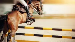 Equitation Coupe du monde de saut d'obstacles