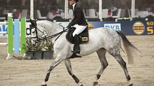 Equitation CSI 5 étoiles de Lausanne 2017
