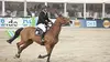 Equitation CSIO de Rome Piazza di Siena 2019