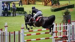 Visuel de Grand Prix
