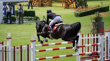 Equitation CSIO Saint-Gall