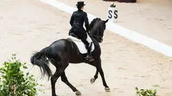 Visuel de Equitation Equitation. Grand Prix libre. Dressage individuel 2024