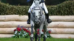 Equitation FEI Championnat d'Europe de concours complet