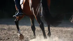 Visuel de Grand Prix de Doha