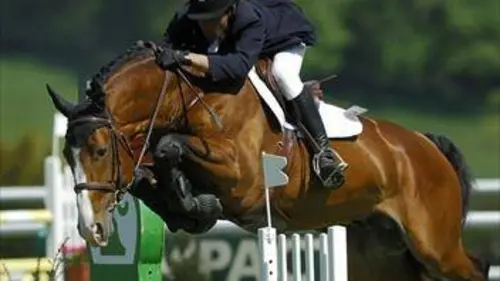 Equitation Grand Chelem de saut d’obstacles 2019/2020