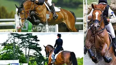 Equitation Indoor Brabant 2016