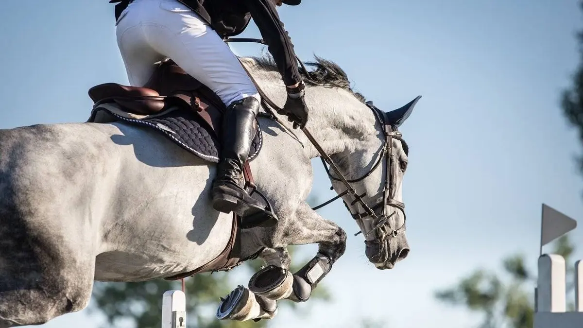 Equitation Jumping international de France 2022