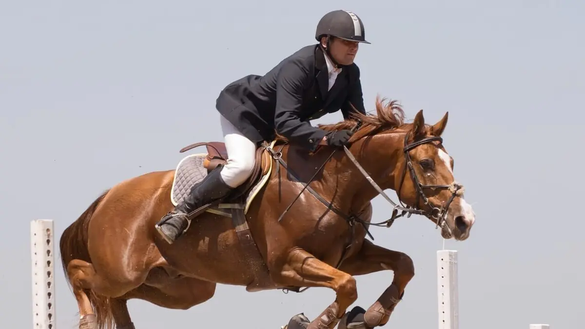 Derby Equitation Jumping International de La Baule 2024