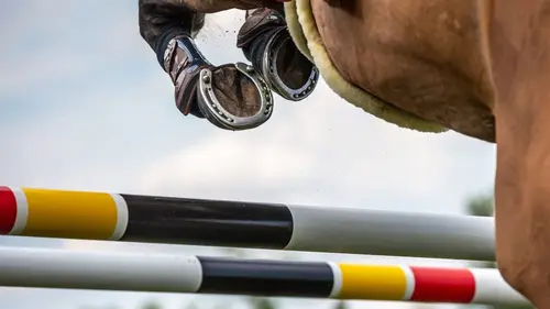 Etape d'Ocala Equitation Ligue des nations 2025