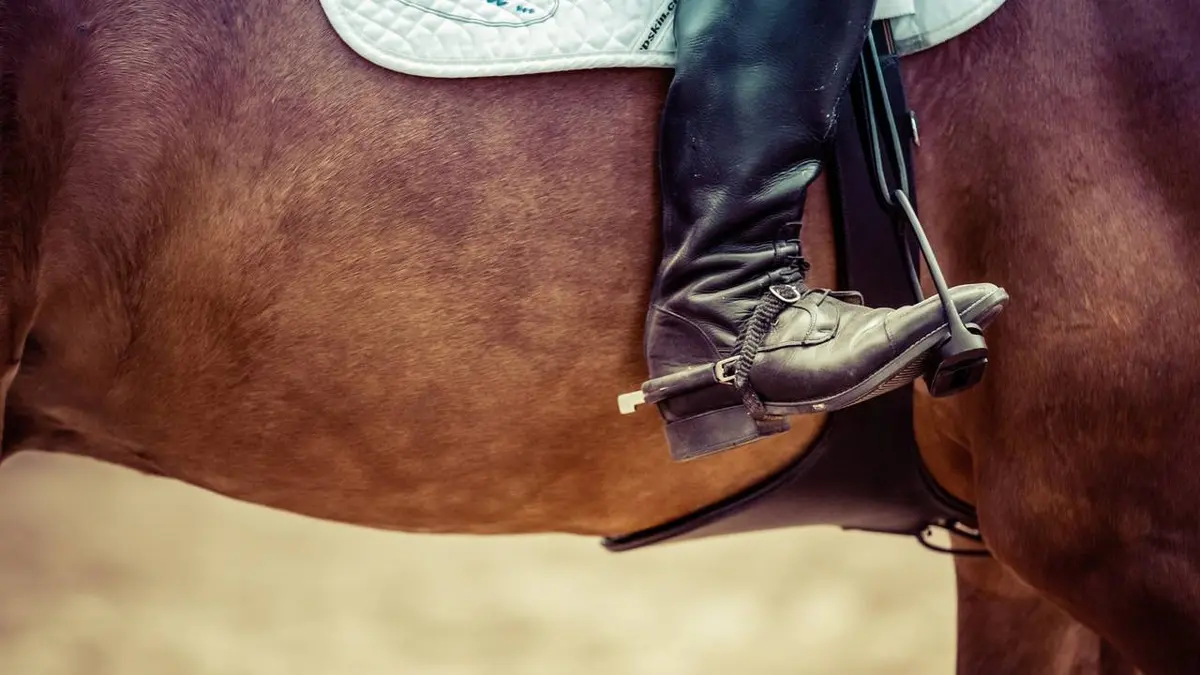 Equitation : Masters de Chantilly