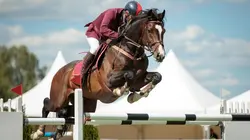 Equitation Paris Eiffel Jumping