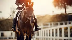 Equitation Rolex Grand Slam