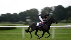 Equitation Rolex Grand Slam