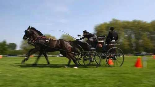 Saut d'obstacles Equitation Royal Windsor Horse Show 2025