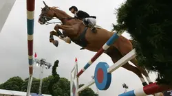 Visuel de Saut d'obstacles