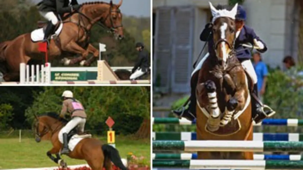 Equitation Saut Hermès 2015