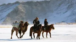 Equus : une histoire de chevaux et d'hommes