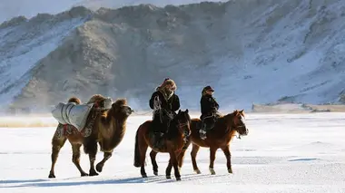 Equus : une histoire de chevaux et d'hommes