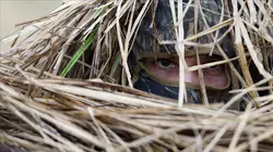 Erwan Balança, la nature du photographe