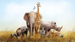 Erwan Balança, la nature du photographe