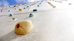 Finale dames  Escalade Coupe du monde 2023