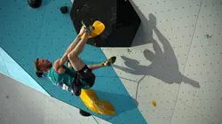 Escalade Coupe du monde