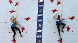 Escalade Coupe du monde