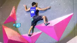 Escalade Coupe du monde