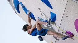 Escalade Coupe du monde