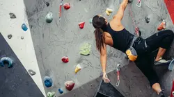 Escalade Coupe du monde