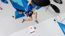 Escalade Coupe du monde