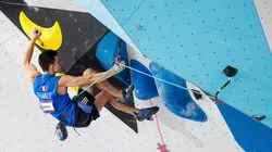 Escalade Coupe du monde