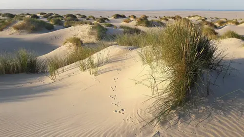 Escales en mer du Nord