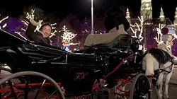 Visuel de Escapade viennoise