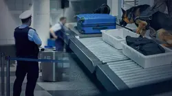 Espagne : côtes sous surveillance Fêtes clandestines