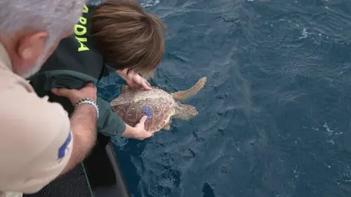 Espagne : côtes sous surveillance Au cœur de la nuit