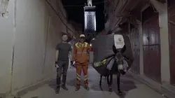 Espèces d'ordures