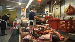 Espèces d'ordures Singapour